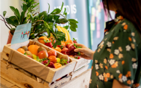 7 alimentos para aumentar la energía en verano